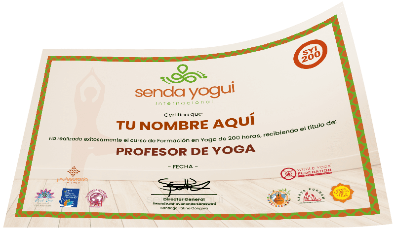 certificado profesorado de yoga