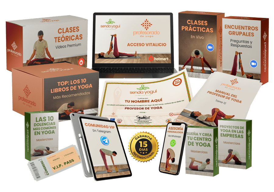 programa profesorado de yoga